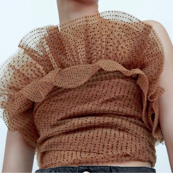 ZARA Tulle Polka Dot Corset Top - Picture 2 of 7